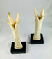 Egyptian ivory sistrum handles on black display bases, Third Intermediate Period, circa 1070–664 BCE, decorative motifs