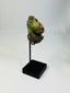 Ancient Egyptian Maahes amulet, Third Intermediate Period, 1070–664 BCE, lion-headed god of war and protection, finely carved stone