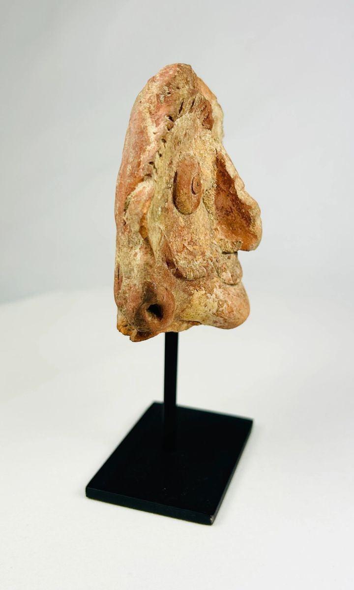 Detail view of facial features on an ancient Indian terracotta head from the Shunga era