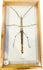 20th century framed stick insect specimen with natural camouflage, preserved Phasmatidae insect in wood and glass scientific display case