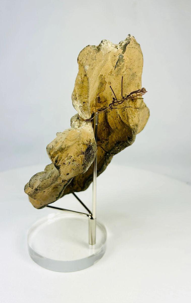 Side view of a Veracruz dual-figure ceramic sculpture