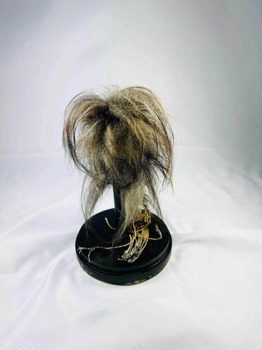 Museum-style replica of a Jivaroan shrunken head, featuring detailed facial stitching, horse hair, and glass globe presentation