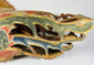 Close-up of Qing Dynasty phoenix relief base section showing intricate openwork carving, red and blue polychrome pigments, and aged camphor wood surface – Relic and Rarity.