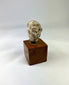Ancient terracotta boy’s head showing youthful facial features and serene expression.