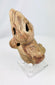 Pre-Columbian ceramic human effigy fragment from West Mexico