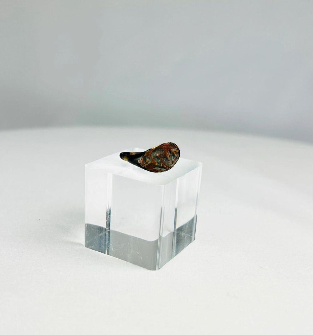 Antique ring showcasing cultural significance and detailed bronze craftsmanship