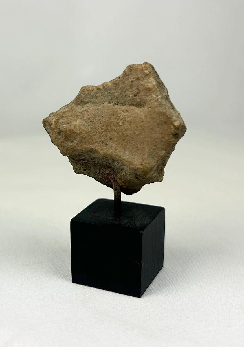 Detail rear view of headband and facial modeling on an ancestor spirit effigy fragment