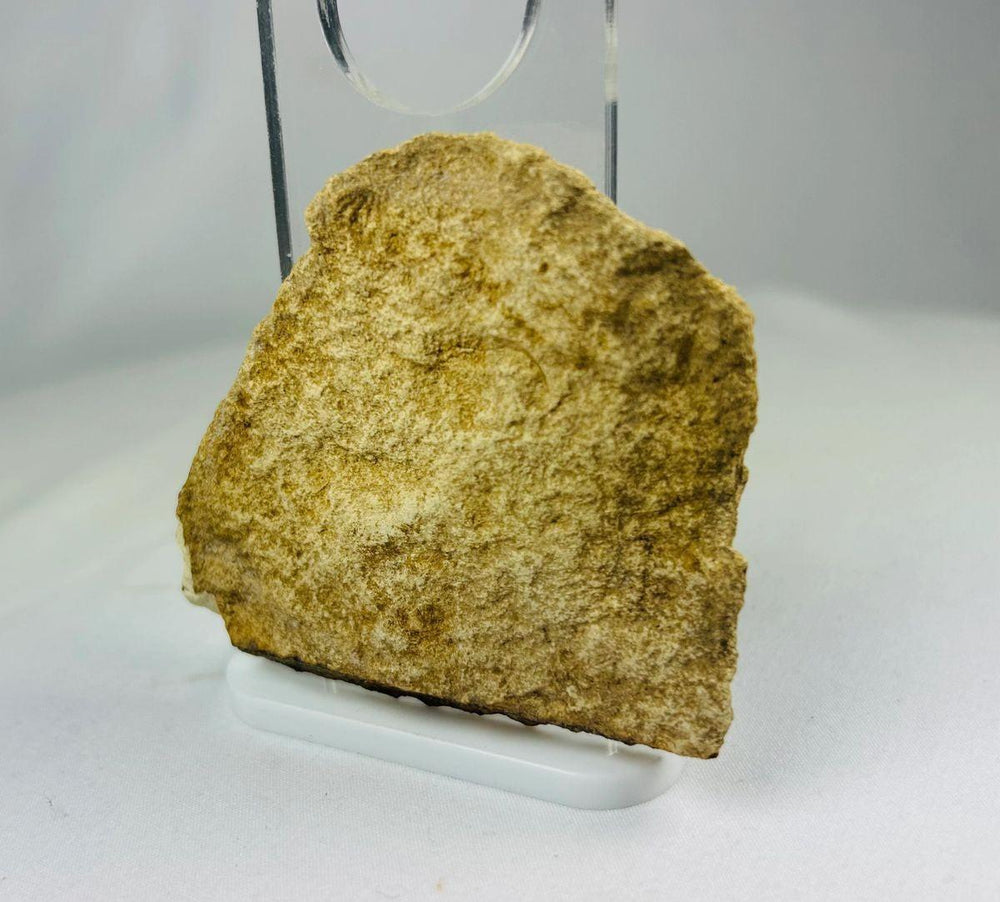 Rear view of limestone fragment showing natural stone patina and historical wear.