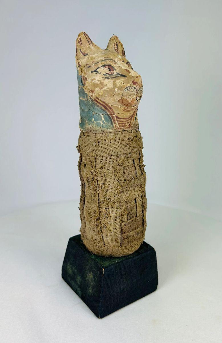 Side view of Ancient Egyptian Bastet cat mummy with detailed linen wrappings and painted mask.