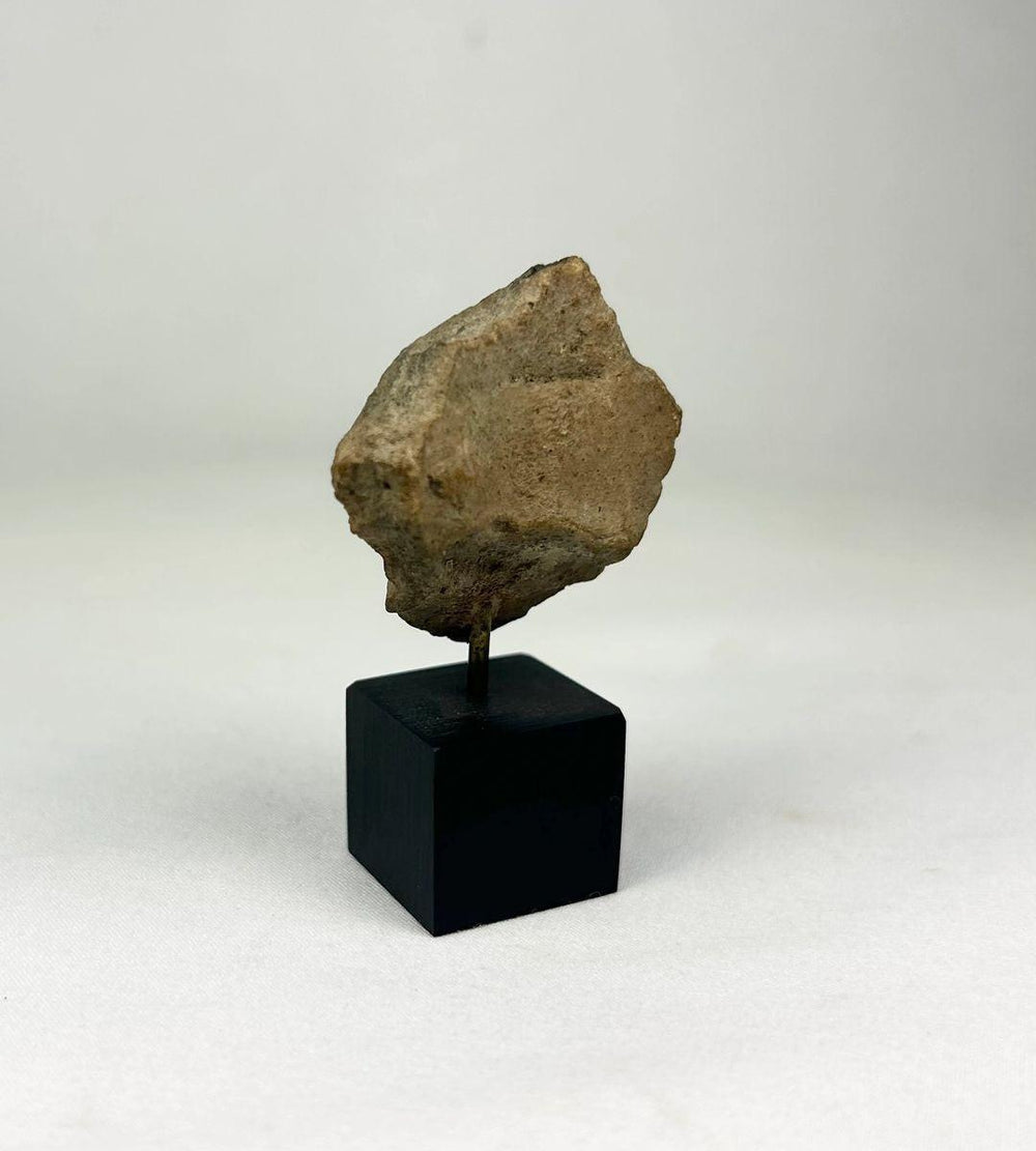 Rear view highlighting surface texture of a West Mexican effigy fragment