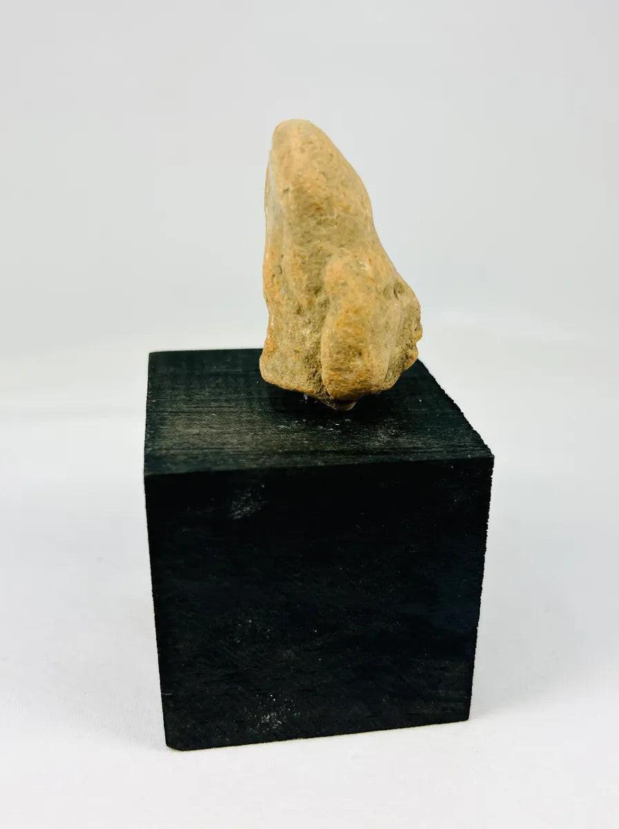 Angled view of a West Mexican terracotta head fragment mounted for display