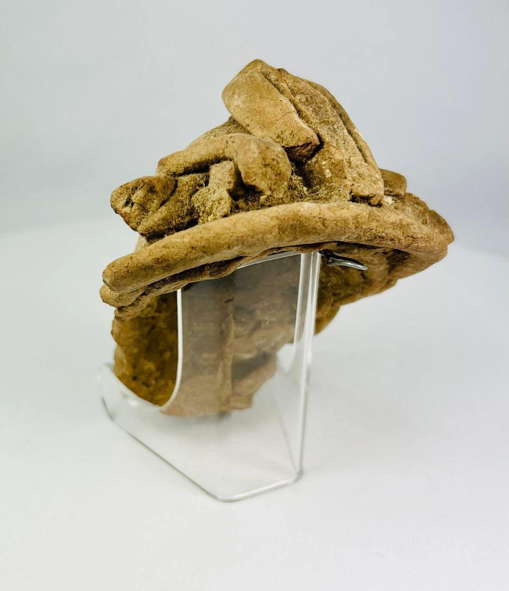 Ancient Mesoamerican terracotta clay head with detailed facial features and headdress