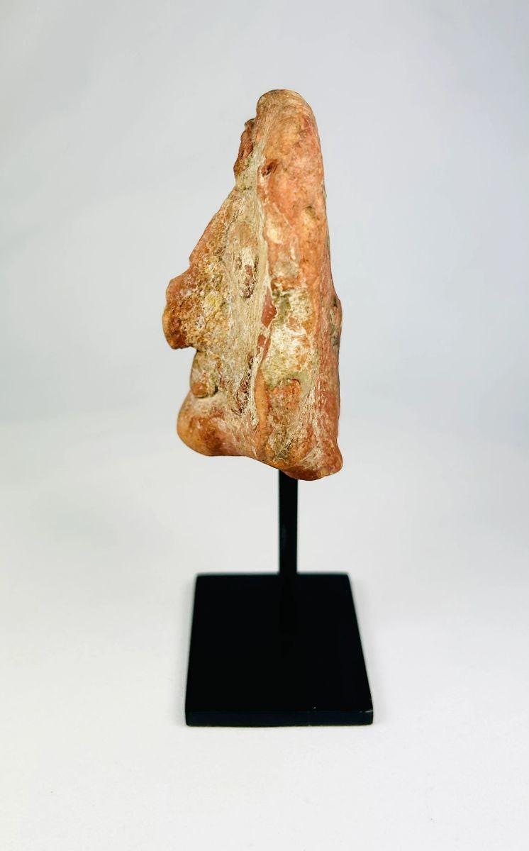 Ancient Indian terracotta head from the Shunga period, red clay sculpture, 2nd–1st century BCE