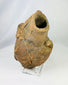 Pre-Columbian Ecuadorian ceramic anthropomorphic head vessel fragment