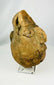 Valdivia–Chorrera head-shaped terracotta vessel from 1000–300 BCE