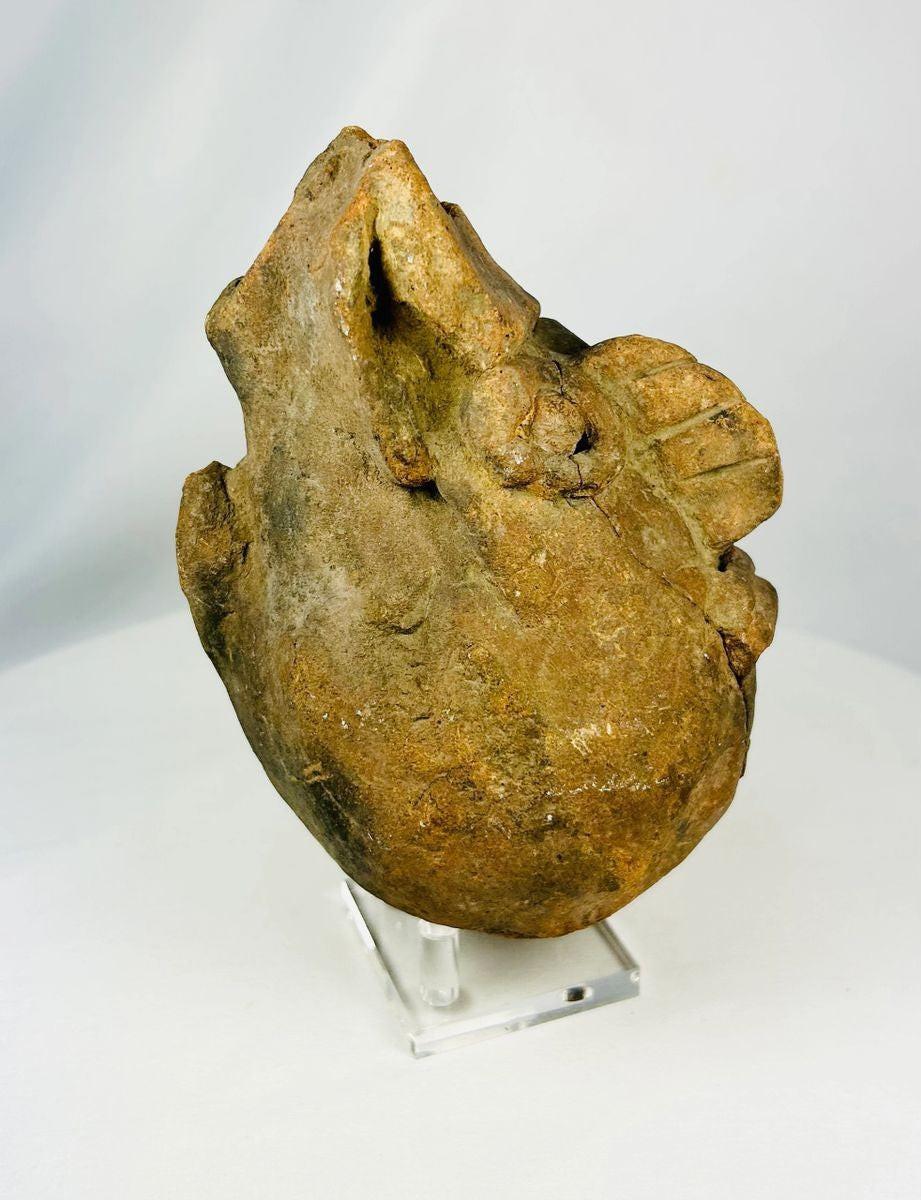 Valdivia–Chorrera ceramic head vessel fragment 1000–300 BCE