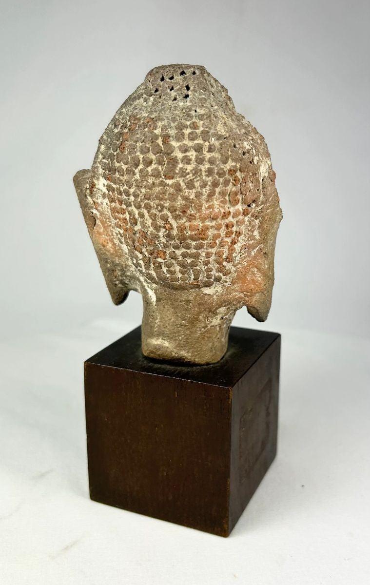 Terracotta Buddha head with dot-patterned hair and calm facial features, 5th–10th century