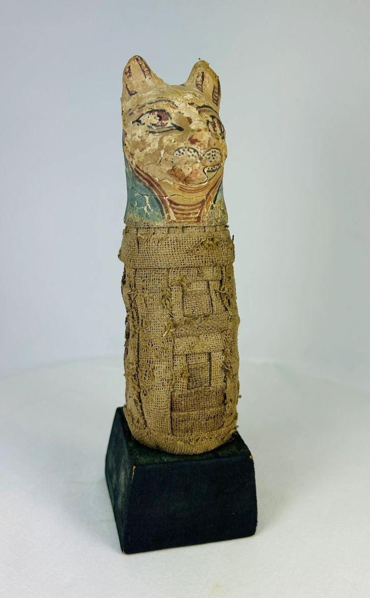 Ancient Bastet cat mummy from Egypt displayed upright with intact wrappings on museum-style stand