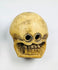Pair of large 18th–19th century Tibetan Buddhist ritual beads carved from human femur bone, featuring intricate Citipati imagery, vertical suspension holes for stringing, fine patina, and devotional use in meditation on impermanence and mortality
