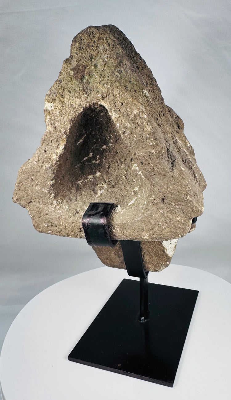Antique African stone head fragment showing erosion, chips, and mineral accretions