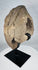 Hand-carved stone head fragment with weathered surface and custom display mount