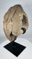 Hand-carved stone head fragment with weathered surface and custom display mount