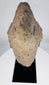 West African-style stone sculpture fragment with prominent brow and compressed lips