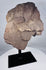 Carved stone ancestral-style head fragment from a Chelsea Estate, New York