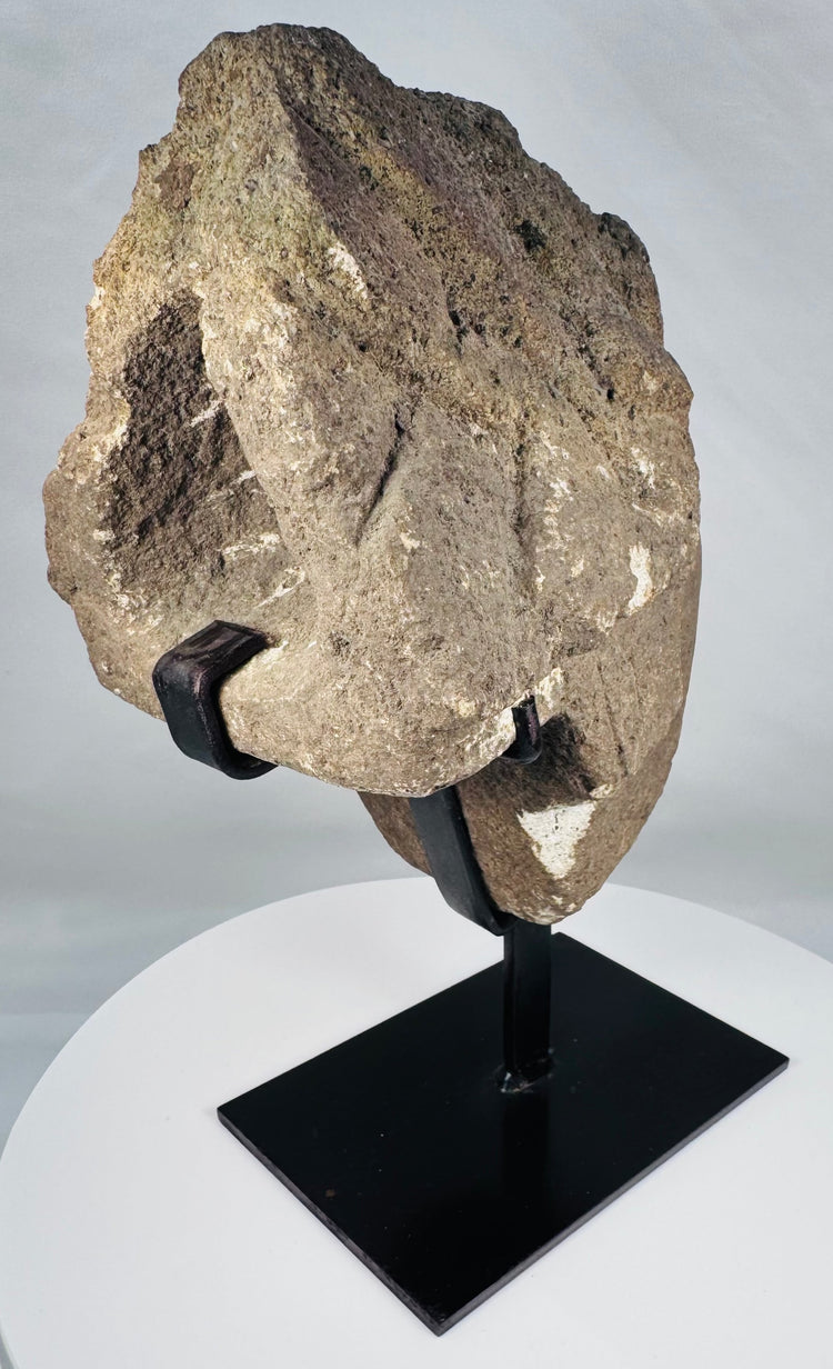 Mounted carved stone head fragment with strong architectural and sculptural presence