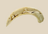 Hand-carved African hippopotamus incisor tusk featuring an intricately detailed crocodile in high relief along the natural curvature, polished with rich patina, displayed on a white background.