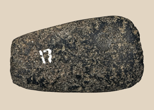 Pre-Columbian Andean ground-stone axe from Ecuador or Peru, 200–800 CE. Small utilitarian tool with fully ground faces, steep beveled cutting edge, and rounded use-worn edge. Archaeological numbering confirms provenance. Reflects daily life, practical craftsmanship, and durable stone-working technology of ancient Andean societies.