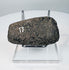 Ancient South American ground stone axe with dark mottled patina and archaeological collection number, 200–800 CE.