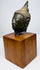 Bronze Buddha head highlighting its sculpted cheek, defined nose, and textured hair beneath a tapered topknot.