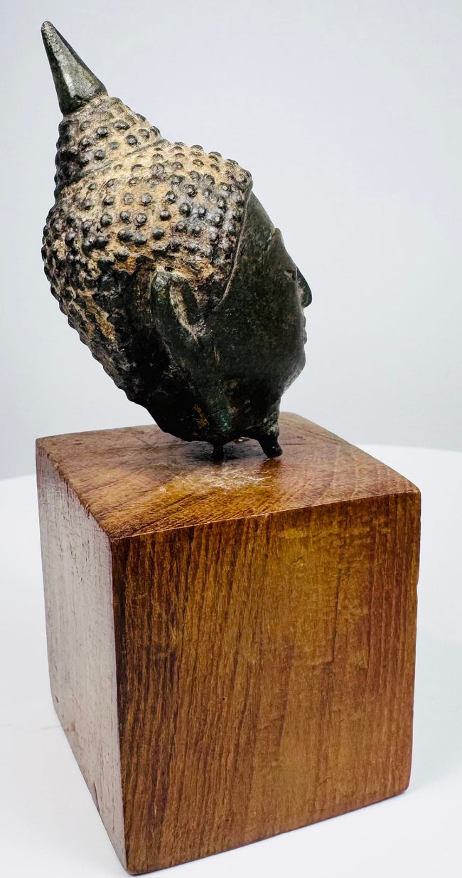Bronze Buddha head displaying an elongated ear, closely patterned curls, and the curved contours of its head and neck.