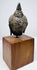 Bronze Buddha head showing dense rows of curls, mottled surface patina, and a pointed topknot above its wooden mount.