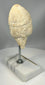 Bronze Age warrior head fragment with mineral patina and erosion