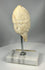 Assyrian alabaster head fragment with ribbed headdress detail