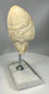 Near Eastern Bronze Age stone sculpture with aged wear