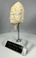 Bronze Age Mesopotamian carved alabaster head fragment
