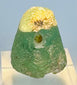 Ancient Western Asian glass seal engraved with two rearing ibex and a central tree