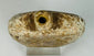 Ancient Mediterranean amulet flask relic with symbolic figures and protective meaning