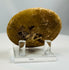 Bronze Age seal artifact with aged patina and carved design