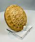 Ancient Indus Valley style stamp seal with worn symbolic carving