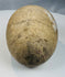Underside view of Roman Byzantine pottery vessel with small rounded base
