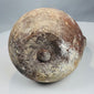 Roman to Byzantine household pouring vessel dating to the 2nd–7th century CE