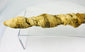 Momie de crocodile de l'Égypte antique | Authentifiée par radiographie | Offrande votive animale authentique | 664–100 av. J.-C.