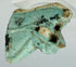 Authentic Egyptian faience protective wedjat eye charm with burial coloration and age patina
