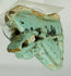 Ancient Egyptian Eye of Horus wedjat amulet fragment with surface encrustation and glaze wear