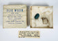 Ancient Egyptian scarab amulets with original presentation box and handwritten museum inventory label