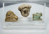 Group of three ancient Mediterranean artifacts including a Hathor pendant, recumbent lion carving, and classical human head fragment.